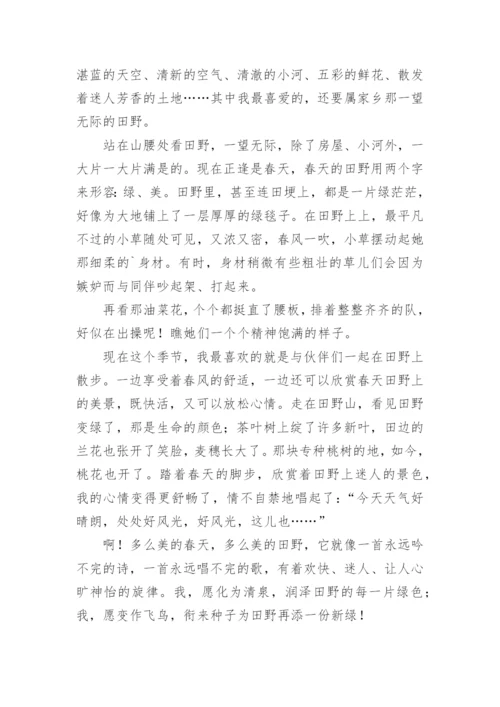 家乡的田野作文600字.docx