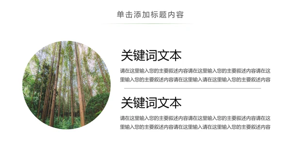 绿色森林植树造林林业木材园动态PPT模板