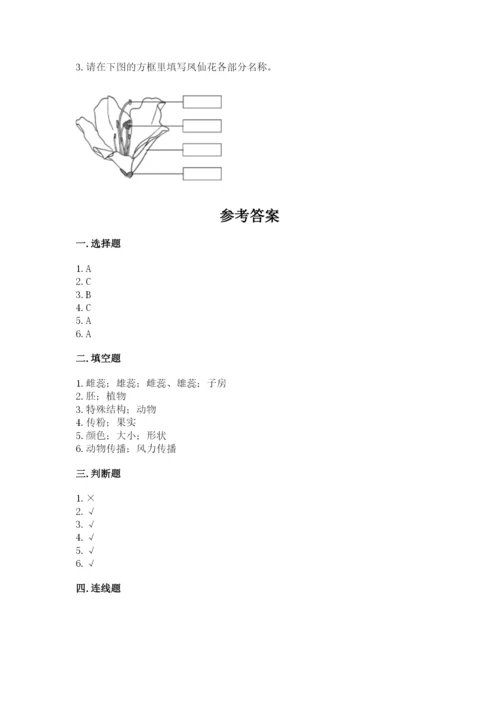 教科版四年级下册科学第一单元《植物的生长变化》测试卷含答案【精练】.docx