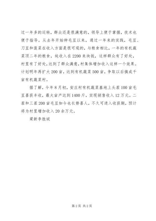 安庄村“三个发展”大讨论汇报材料061210 (2).docx