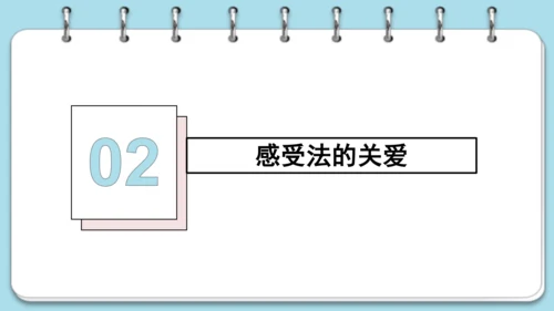 10.1 法律为我们护航课件(共17张PPT)