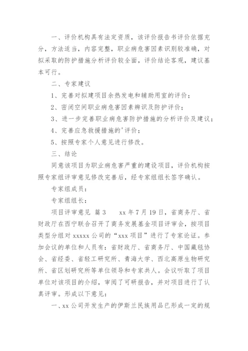 项目评审意见.docx