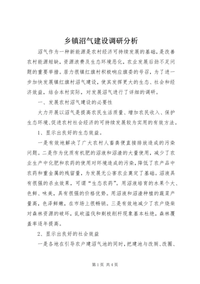 乡镇沼气建设调研分析.docx