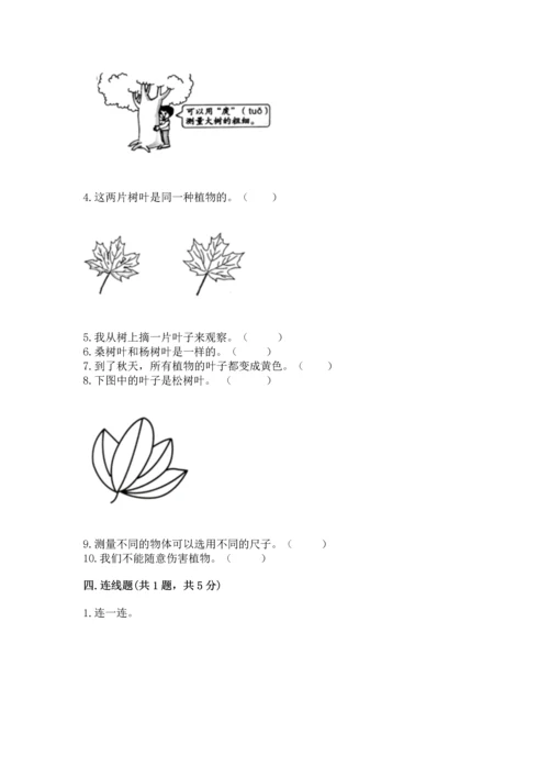 教科版一年级上册科学期末测试卷含答案（巩固）.docx