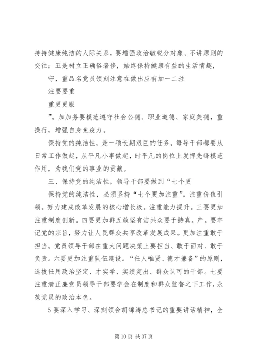 保持党的纯洁性提高党的执政能力5则范文.docx