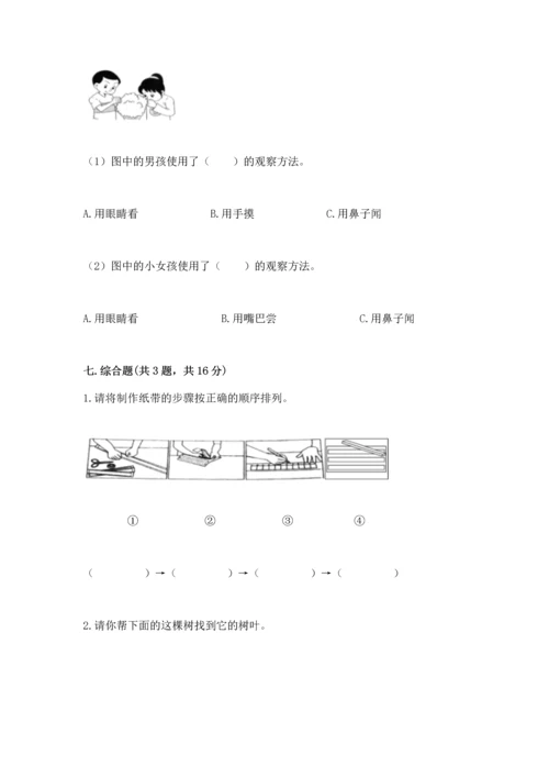 教科版科学一年级上册期末测试卷【b卷】.docx
