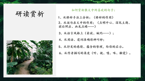 地下森林作家张抗抗作品解读PPT课件