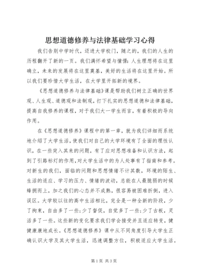 思想道德修养与法律基础学习心得.docx