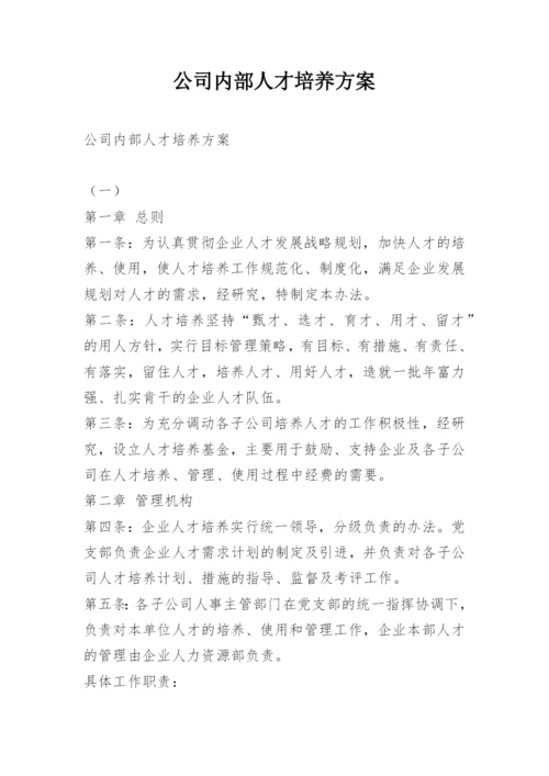 公司内部人才培养方案.docx