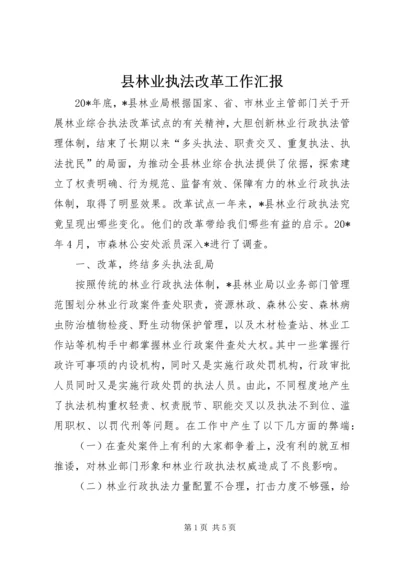 县林业执法改革工作汇报.docx