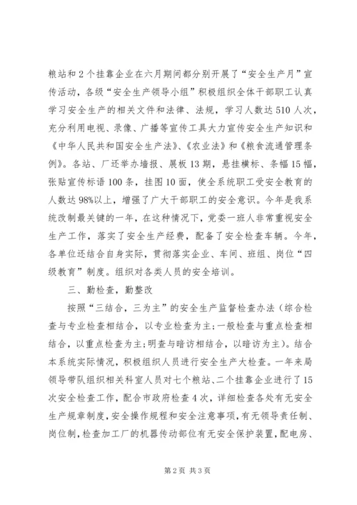 粮食局安全生产总结及工作计划 (4).docx