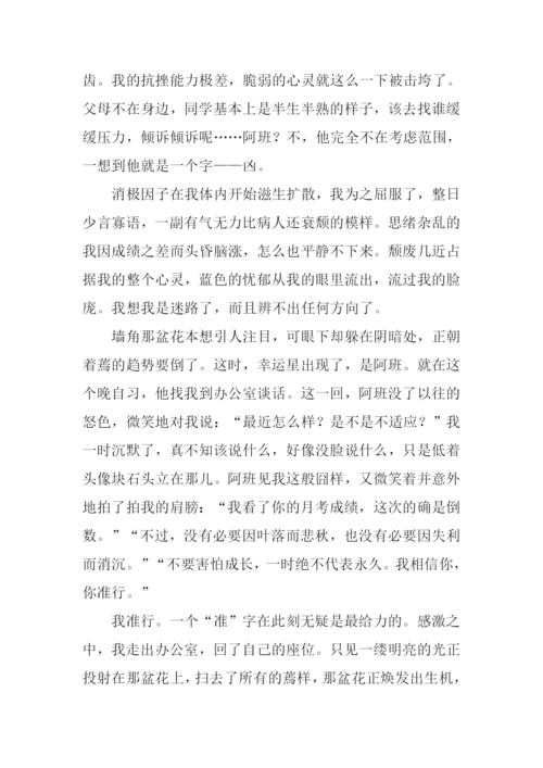 庆幸您给了一缕光作文.docx