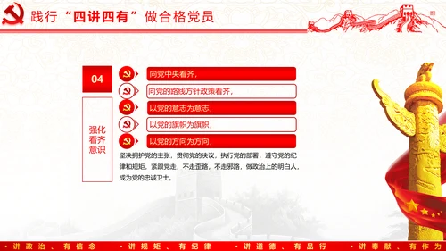践行四讲四有，争做合格党员