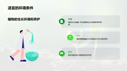 揭秘植物生长