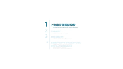 国际学校案例研究报告通用PPT模板