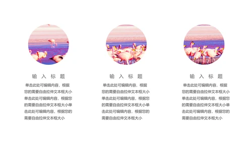 保防野生动物藏羚羊通用PPT模板
