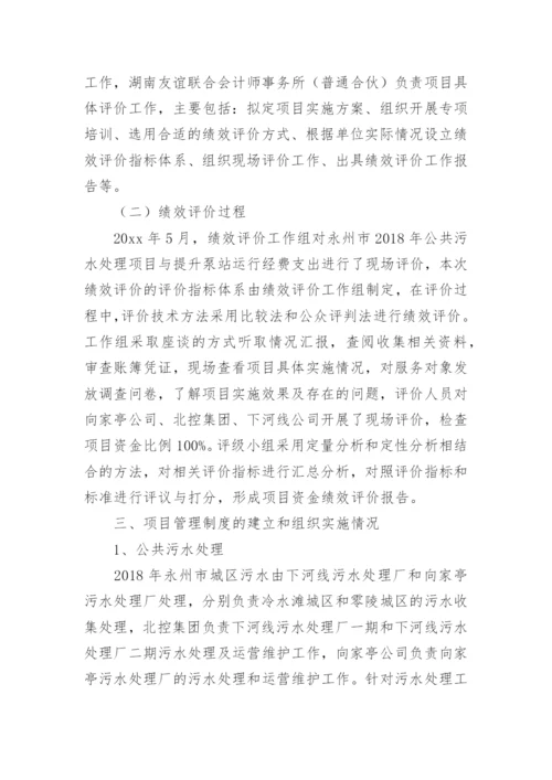 污水处理项目绩效评价报告.docx