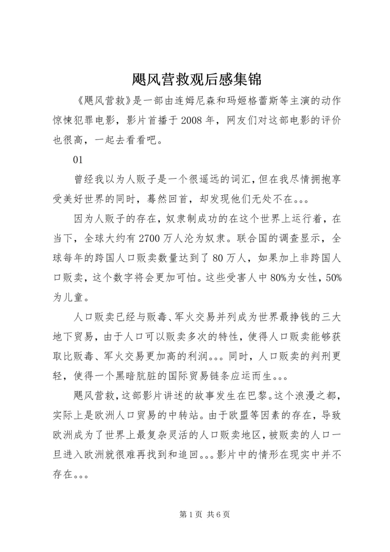 飓风营救观后感集锦.docx