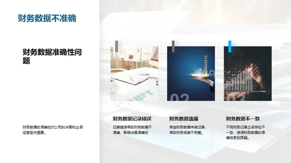 审计揭秘与危机应对
