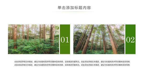 原始森林湿地植树造林森林环保PPT模板