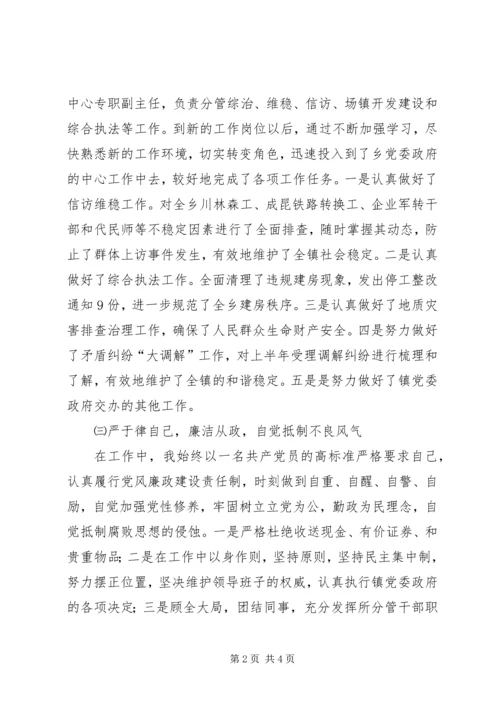 乡镇调委会工作汇报.docx