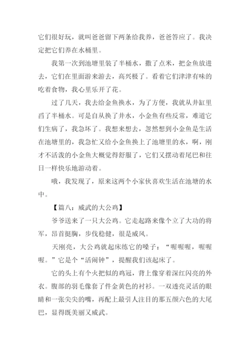四年级动物作文大全300字.docx