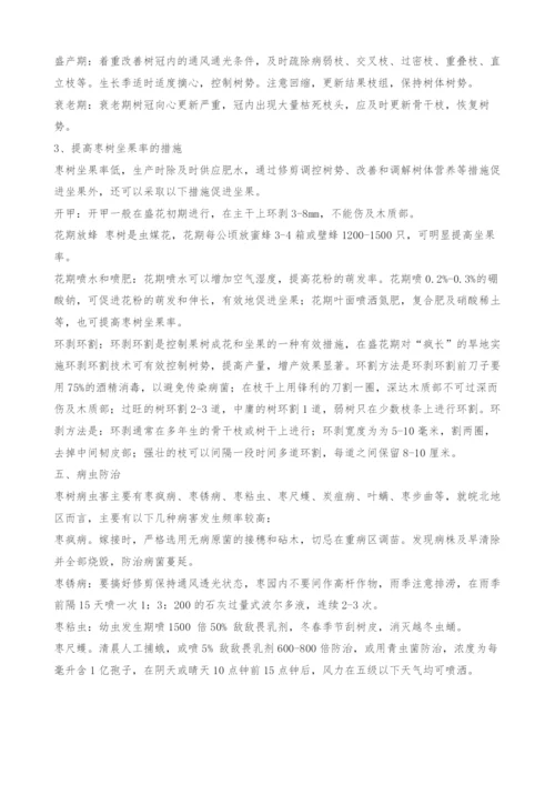 皖北地区枣树栽培技术要点.docx