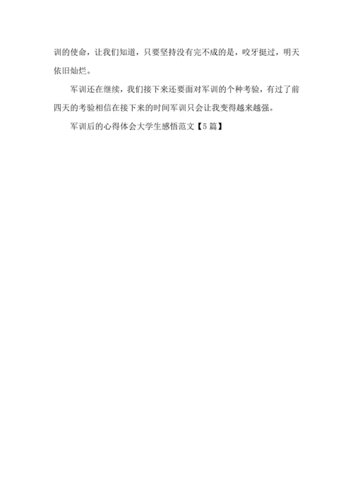 军训后的心得体会大学生感悟范文5篇.docx