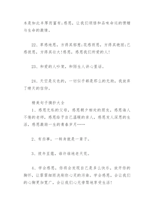 优美句子摘抄大全 精美句子摘抄大全(精选49句).docx