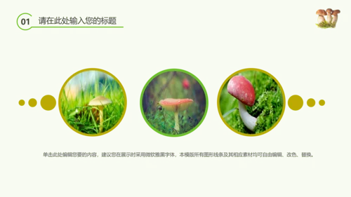 绿色植物野生菌类生长动态ppt