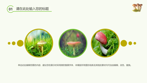 绿色植物野生菌类生长动态ppt
