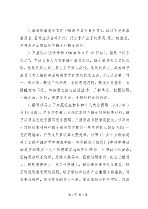 产业党委某年度处级党员领导干部民主生活会工作方案.docx