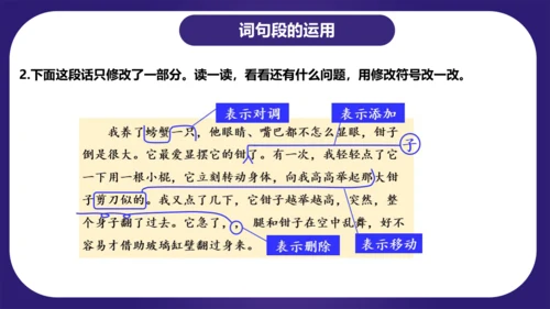 统编版三年级语文下学期期中核心考点集训第四单元（复习课件）