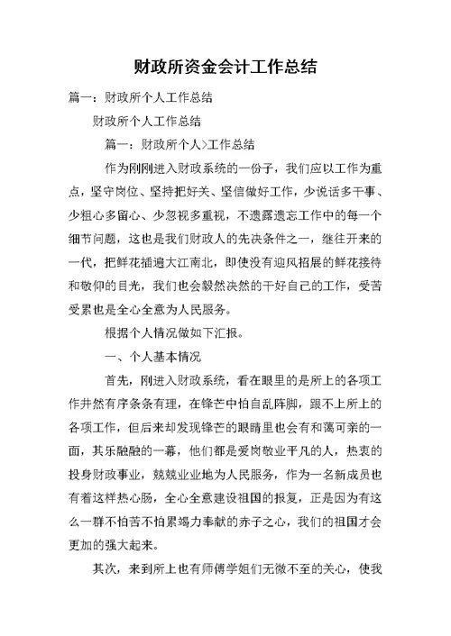 财政所资金会计工作总结