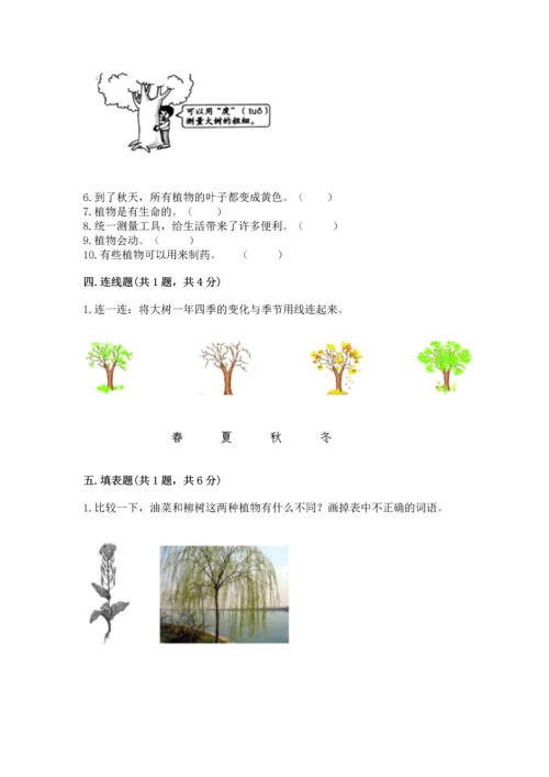 教科版一年级上册科学期末测试卷精品【典优】.docx