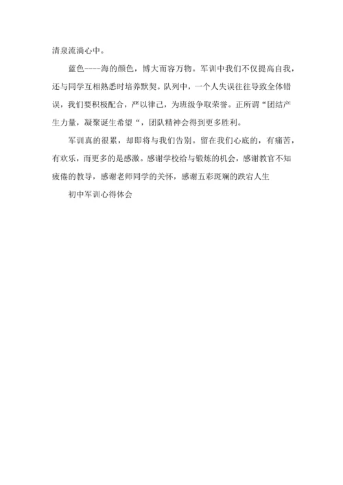 初中军训心得体会5篇 (2).docx