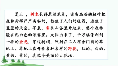 20.美丽的小兴安岭   课件