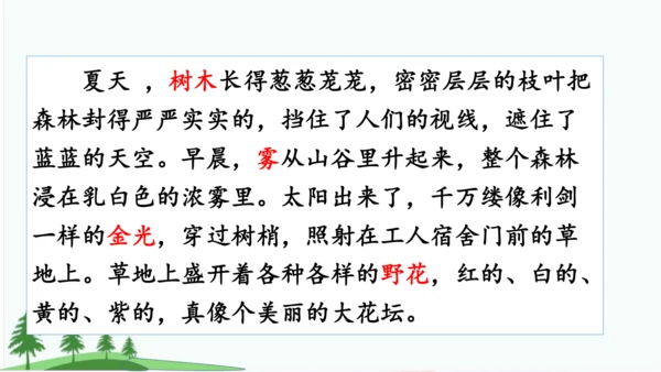 20.美丽的小兴安岭   课件