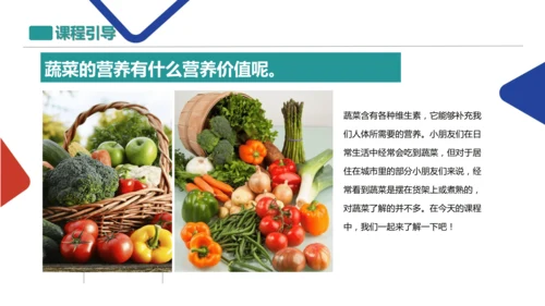 各式各样的蔬菜