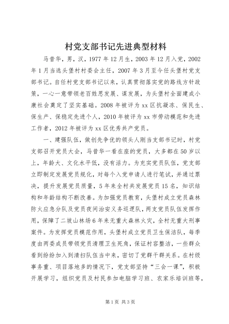 村党支部书记先进典型材料.docx