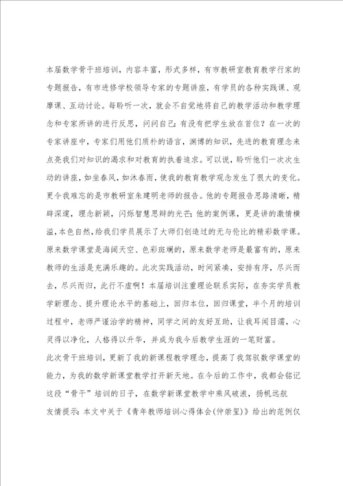 青年教师培训心得体会仲崇玺