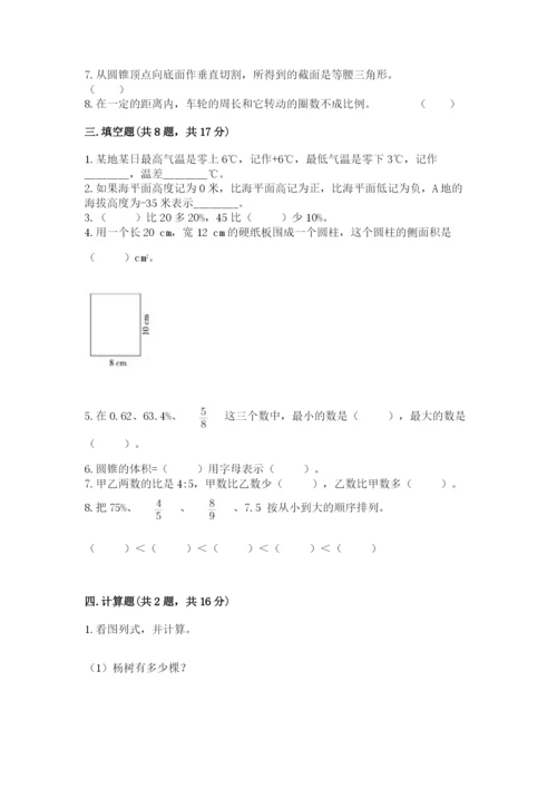 北京版六年级下册数学期末测试卷【精选题】.docx