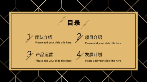 BUSIESS PLAN 商业融资计划书通用PPT模板