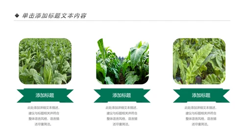 中国人寿保险公司年中工作总结工作计划PPT