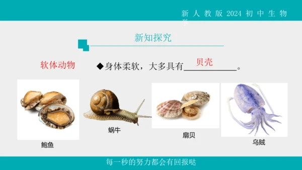 人教版生物七年级上册2.2.1《无脊椎动物》教学课件(共40张PPT)+视频素材