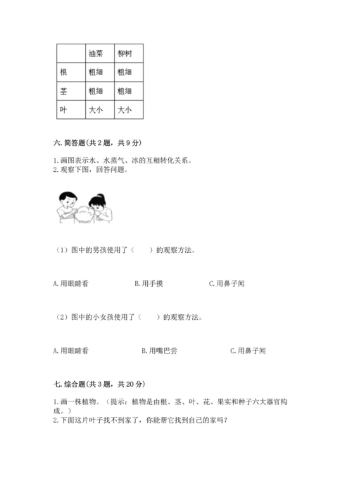 教科版科学一年级上册第一单元《植物》测试卷及参考答案【模拟题】.docx