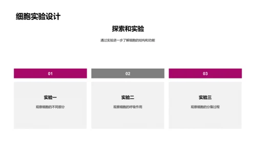 细胞知识讲解PPT模板