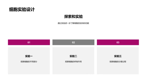 细胞知识讲解PPT模板