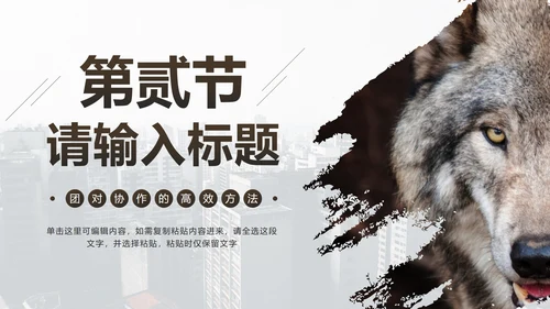 企业培训团队凝聚力PPT模板