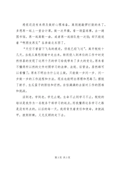 国税税校培训心得.docx